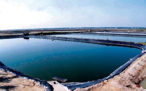 水產(chǎn)養(yǎng)殖生物對(duì)溶解氧的依賴性