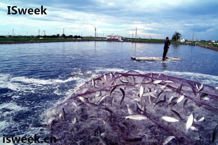 細(xì)數(shù)各大應(yīng)用在水產(chǎn)養(yǎng)殖領(lǐng)域中的傳感器