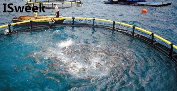 詳解檢測溶解氧的三大方法原理