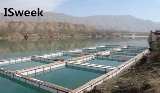 使用ORP傳感器的注意事項