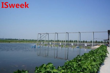 好氧微生物和厭氧微生物對于水產(chǎn)養(yǎng)殖的影響