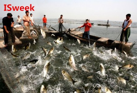 溶解氧在水產(chǎn)養(yǎng)殖領(lǐng)域應(yīng)用中的注意事項