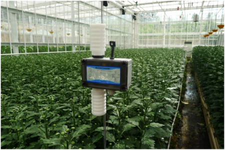 二氧化碳傳感器在溫室大棚中的重要作用