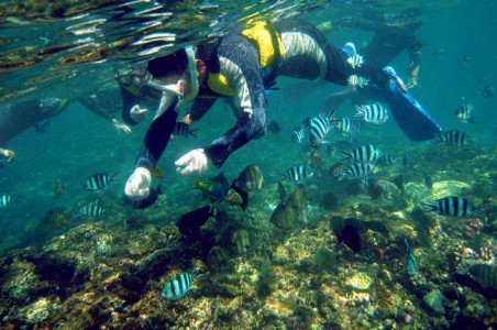 潛水設(shè)備中壓力傳感器應(yīng)用技術(shù)解決方案