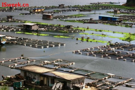 養(yǎng)殖魚蝦過程中遇到過高的PH值和氨氮時該怎么解決