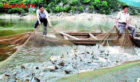 溶解氧是一切水產(chǎn)養(yǎng)殖的基礎(chǔ)