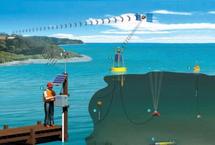 適用于河流水位監(jiān)測的超聲波液位傳感器- ToughSonic-50