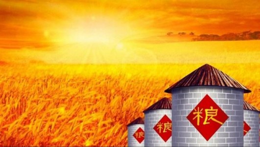 PH3氣體傳感器應(yīng)用在糧倉(cāng)殺蟲