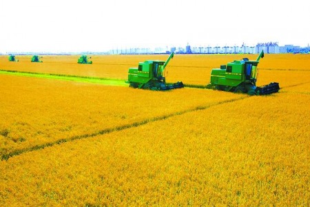 PH3傳感器在磷化氫凈化新技術(shù)工藝及廢水處理工藝中的應(yīng)用