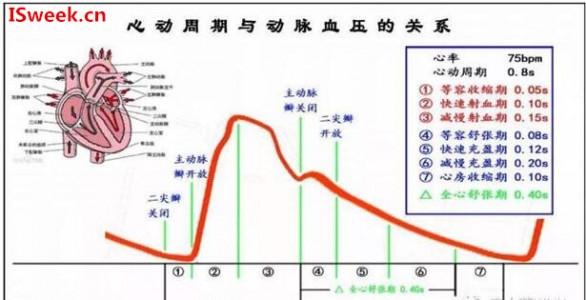 光纖壓力傳感器FOP-M260在動脈血壓監(jiān)測的應用