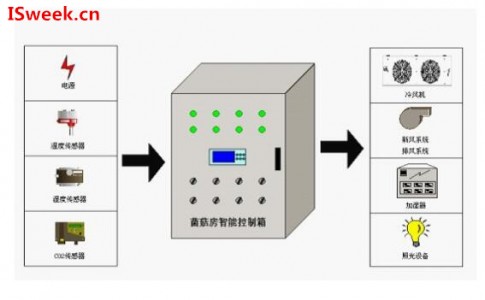 菌菇房環(huán)境監(jiān)測中的溫濕度傳感器技術運用