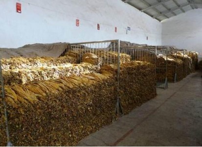 cael-s16傳感器應(yīng)用于煙草保存環(huán)境中溫濕度的檢測