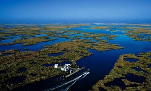 AMT水質(zhì)傳感器用于檢測(cè)池塘養(yǎng)殖中硫化氫的濃度