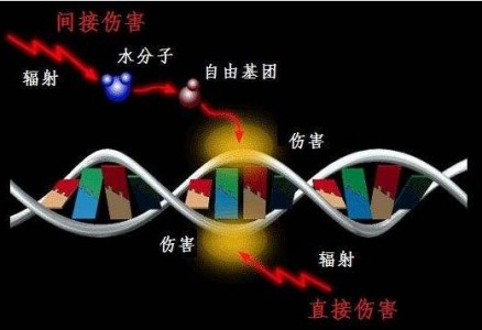 光纖溫度傳感器在生物細胞輻射培養(yǎng)過程中的溫度監(jiān)控