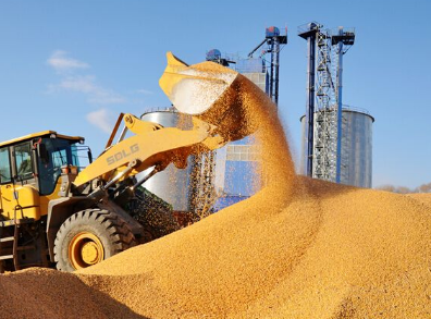 二氧化碳傳感器在CO2氣調(diào)儲糧中的應(yīng)用