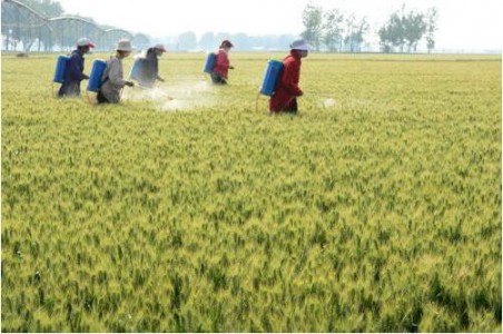 智能化農(nóng)業(yè)物聯(lián)網(wǎng)助力傳統(tǒng)農(nóng)業(yè)升級