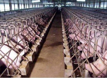 物聯(lián)網(wǎng)智慧養(yǎng)殖場(chǎng)中溫濕度傳感器模塊的應(yīng)用