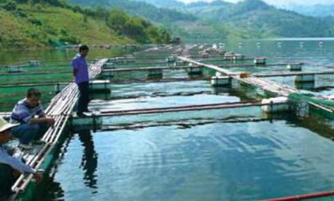 應(yīng)用在水產(chǎn)養(yǎng)殖參數(shù)檢測(cè)中的水質(zhì)傳感器