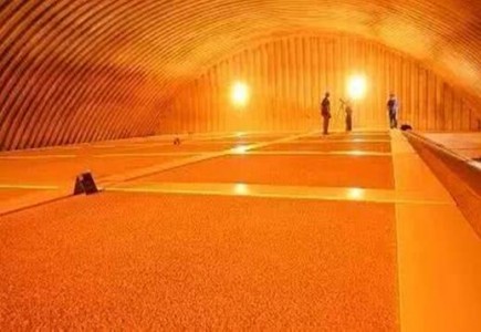 結(jié)露傳感器SY-DS-1用于預防儲糧結(jié)露