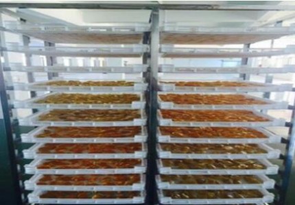 溫濕度探頭CAEL-S16用于水果烘干房的溫濕度值探測