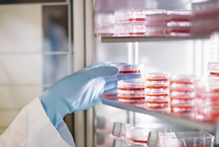 熱導式氣體傳感器用于二氧化碳培養(yǎng)箱CO2濃度監(jiān)測