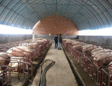 紅外二氧化碳傳感器ZG09在溫室養(yǎng)殖廠中的應(yīng)用