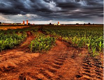 紅外笑氣N2O傳感器模塊用于土壤中N2O濃度檢測(cè)