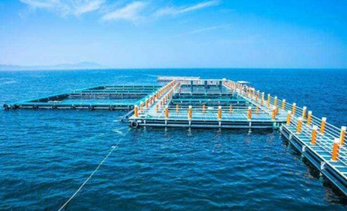 水質(zhì)傳感器在海洋牧場(chǎng)水質(zhì)檢測(cè)中的應(yīng)用