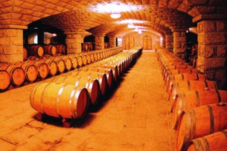 溫濕度探頭CAEL-S16用于酒窖環(huán)境溫濕度檢測(cè)