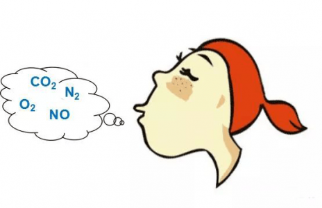 呼出氣一氧化氮（FeNO）檢測技術(shù)中NO傳感器的應(yīng)用