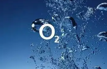 電化學(xué)及氧化鋯檢測(cè)氧濃度的方法