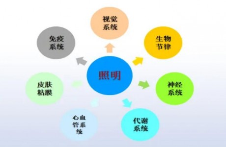 健康照明中應(yīng)用的LED照明燈