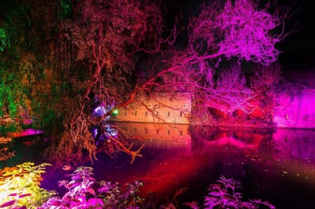 應(yīng)用在植物生長(zhǎng)照明中的LED照明燈珠