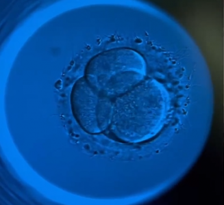 Time-lapse培養(yǎng)箱中的傳感器技術(shù)：精準(zhǔn)控制環(huán)境，提升胚胎培養(yǎng)效率